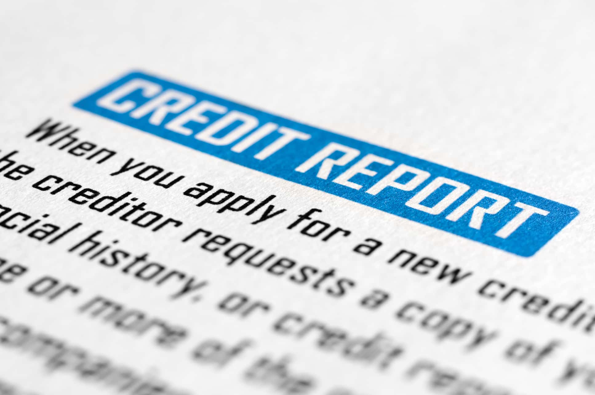 Credit Reports - New Zealand