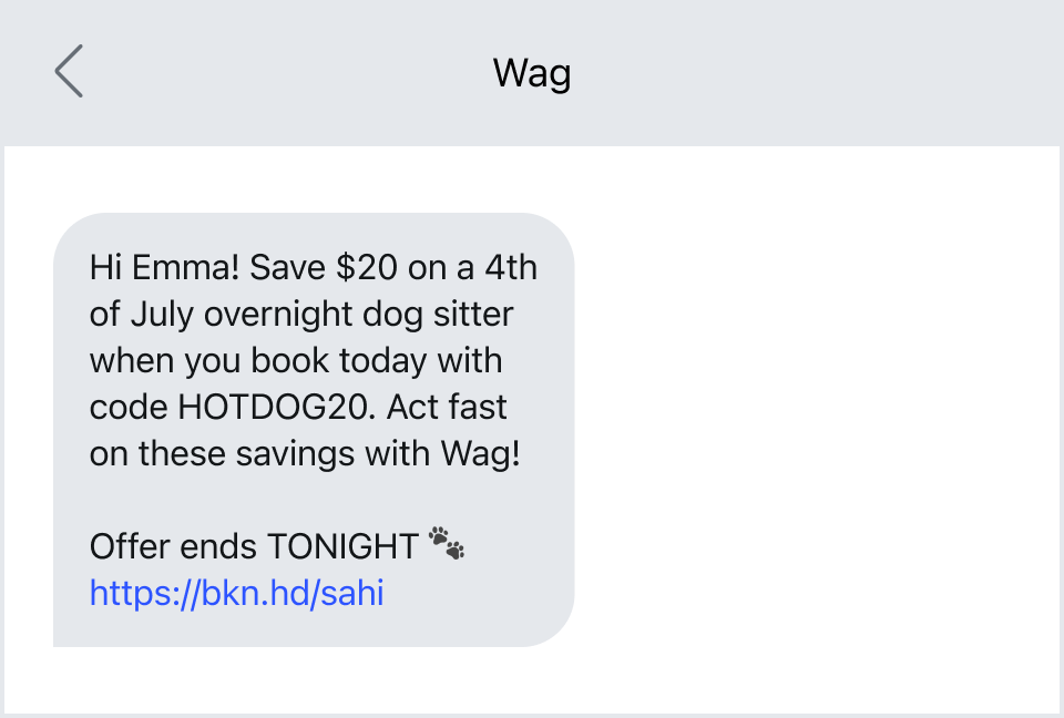 A holiday promotion SMS marketing example from Wag!