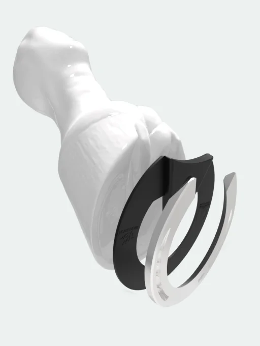 A render of a horse hoof and horse shoe with a Ed Ecliple Pad in-between.