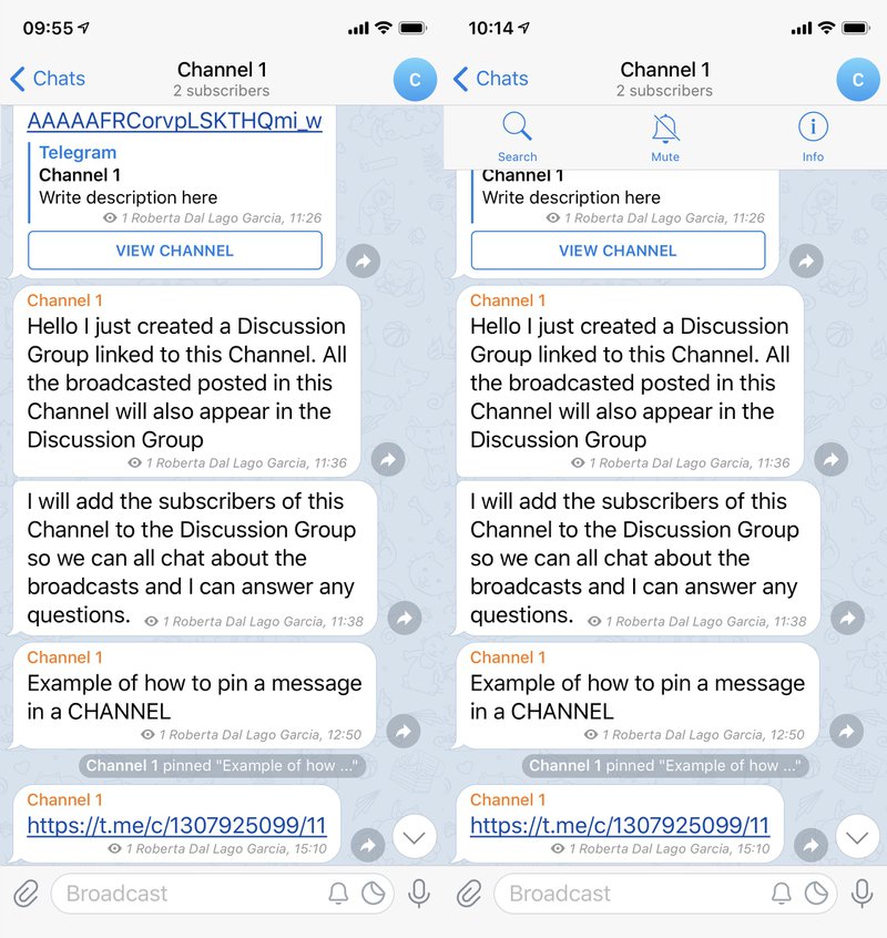 Untuk membisukan notifikasi Telegram Saluran, tekan nama Saluran > tekan bel.