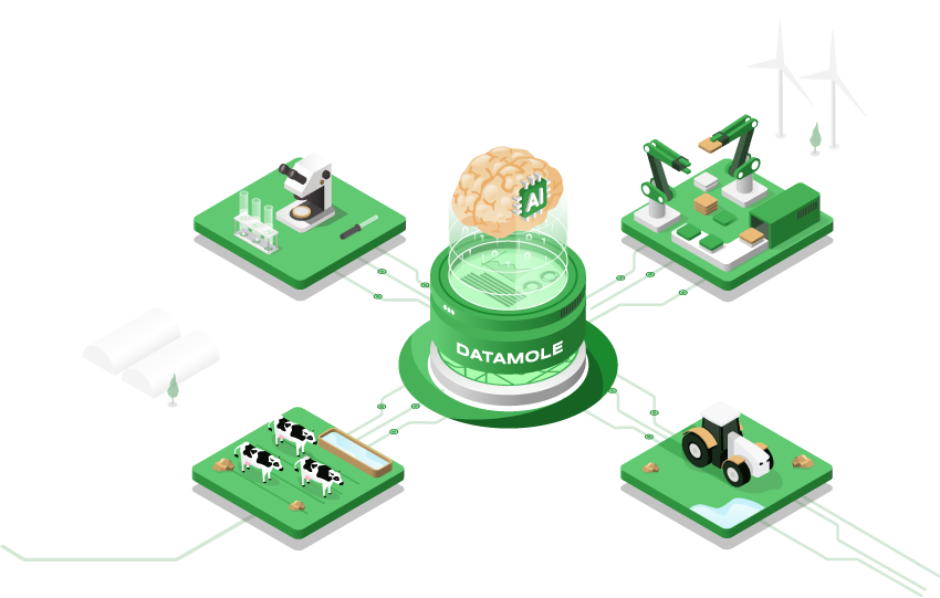 Datamole Platform illustration