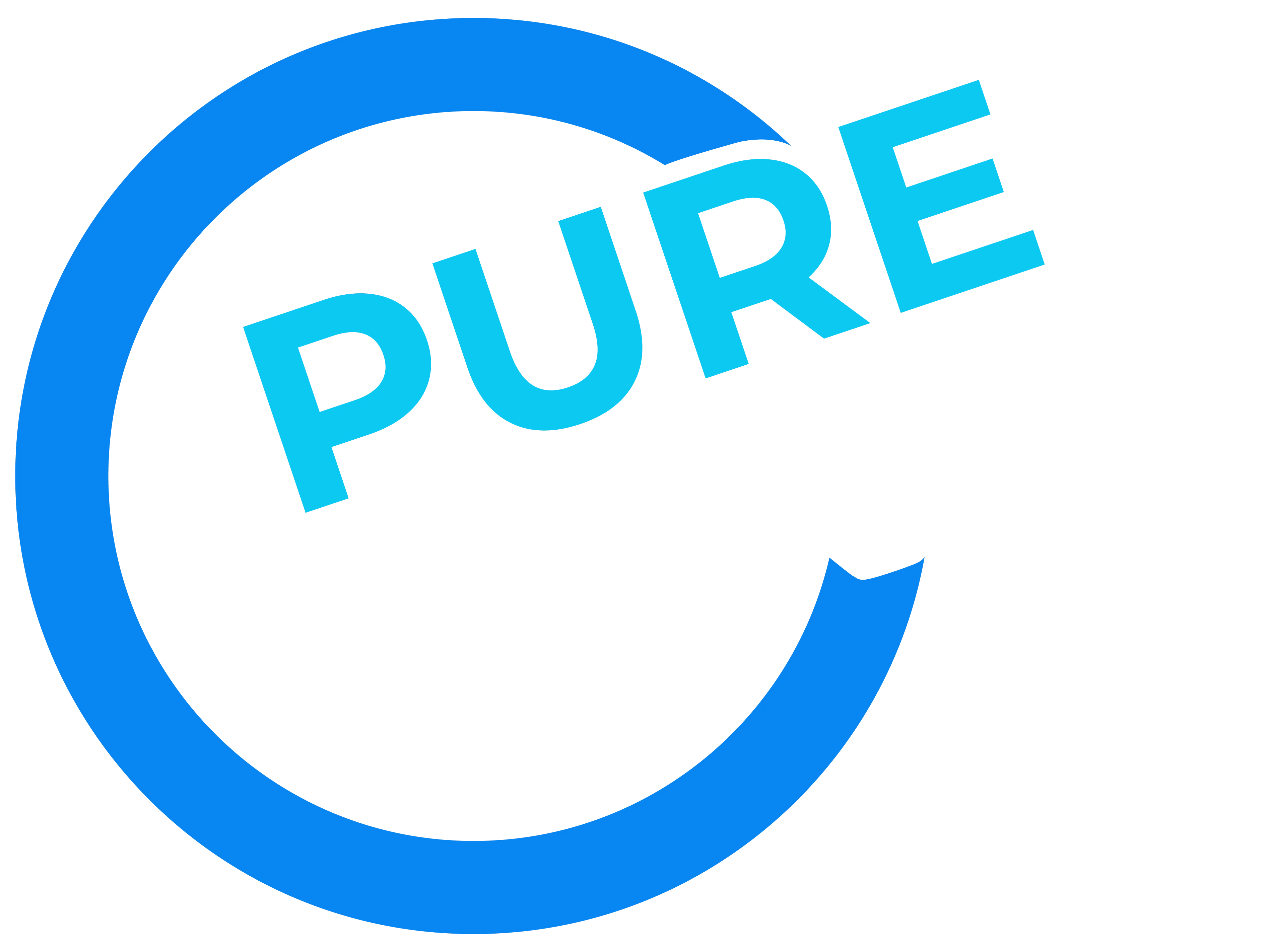 PureZero Program Logo