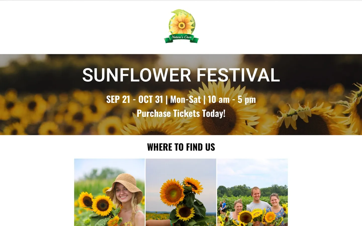 sunflowe festival event ticketing page