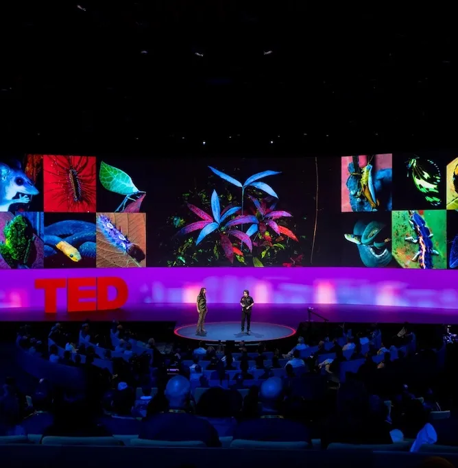 A wide-angle shot of the TED stage beautifully lit.