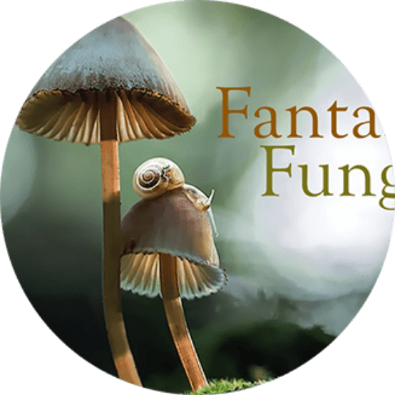 Fantastic Fungi Cover Image
