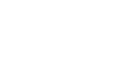 bigid logo