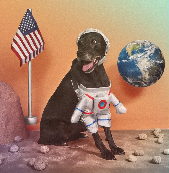 A dog wearing a space suit sitting next to a rock