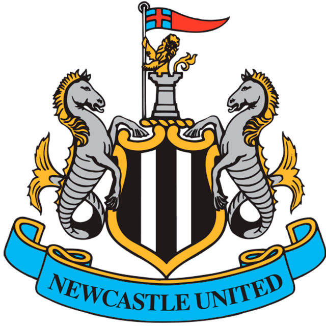 Escudo/Bandera Newcastle