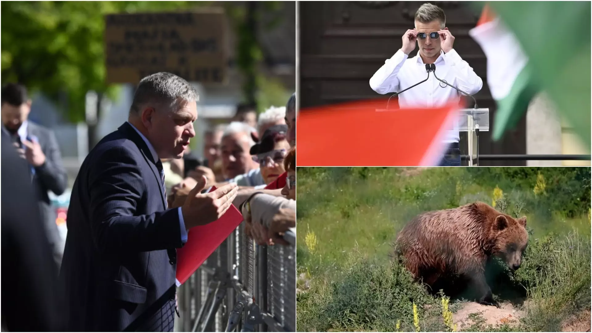 Merénylet Robert Fico ellen, medveveszély Pest megyében és 1,5 millió Tisza-szavazó