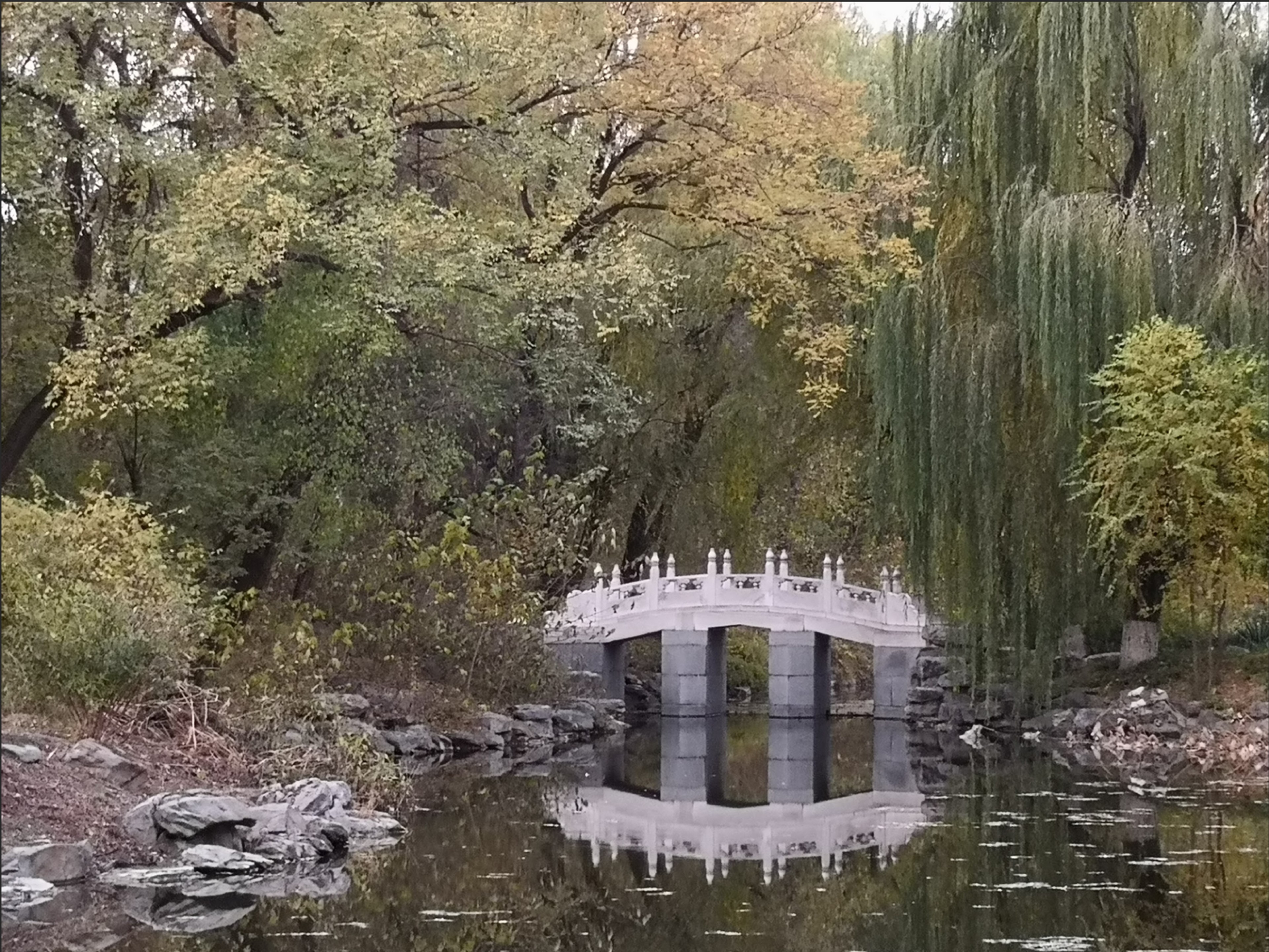 Photo of Berggruen Institute Beijing