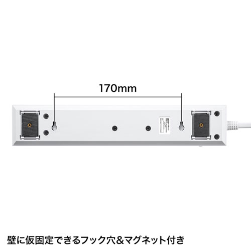 TAP-SP2110SW-5 / 節電タップ（2P・10個口・5m）