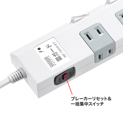 TAP-SP2110SW-5 / 節電タップ（2P・10個口・5m）