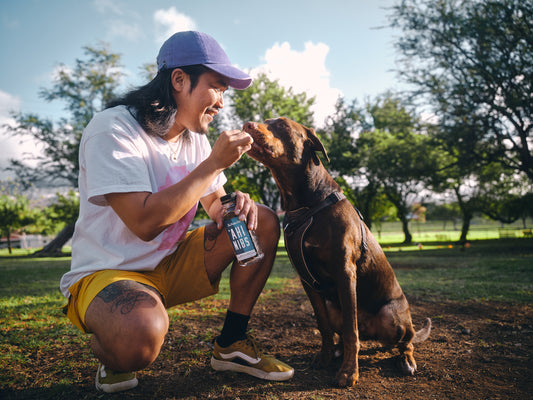 Person with a dog from "Pet Plate"