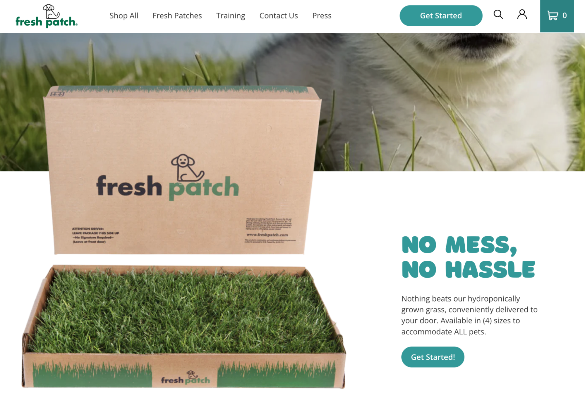 Fresh Patch’s homepage featuring its main product.