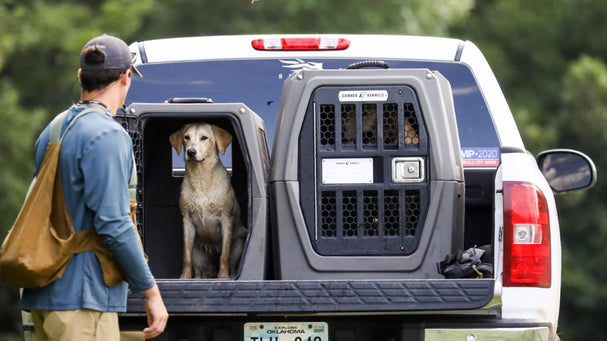 Two Gunner Kennels dog crates in the back of a white pickup truck.