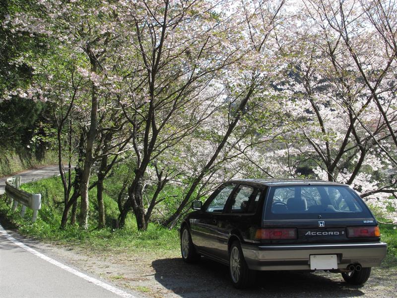 ホンダ アコード エアロデッキ