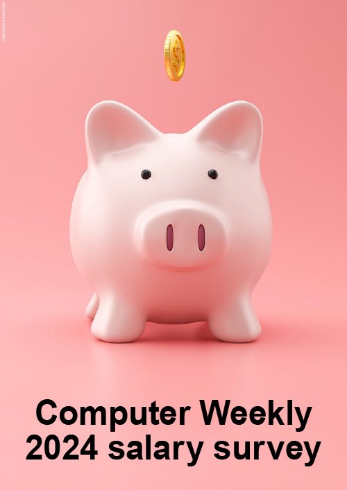 Computer Weekly 2024 salary survey