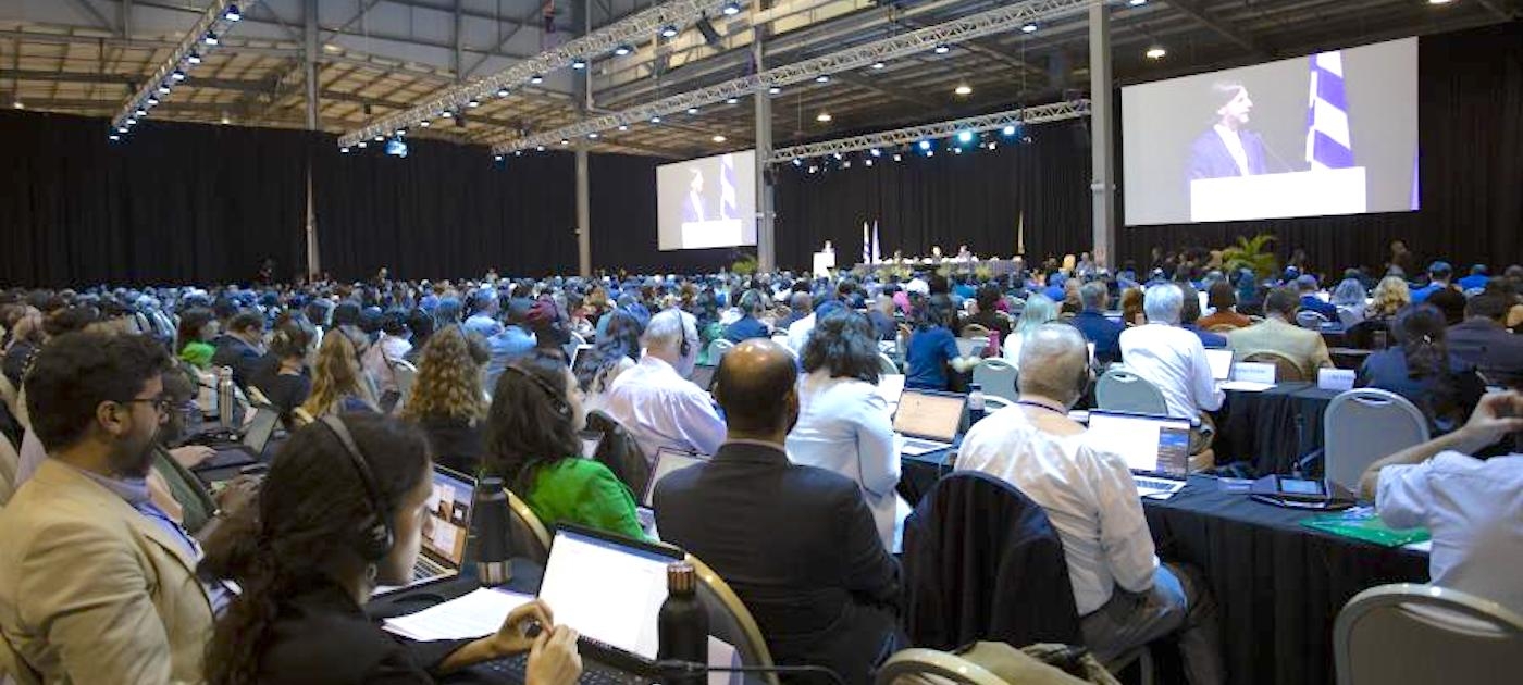 View of INC-1 Plenary during the opening