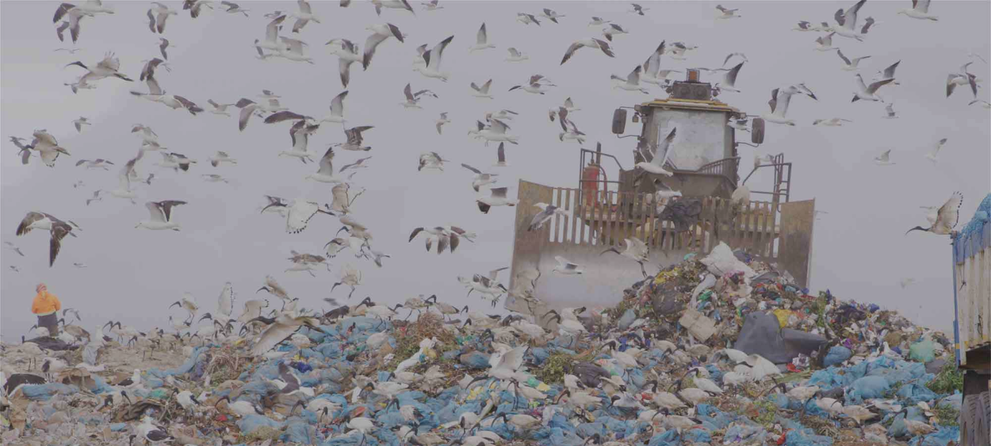 A tractor dumps debris on a rubbish heap.