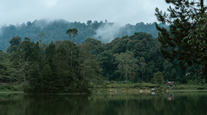 A lake surrounded by forest.  