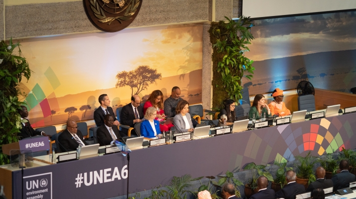 High level segment during UNEA-6