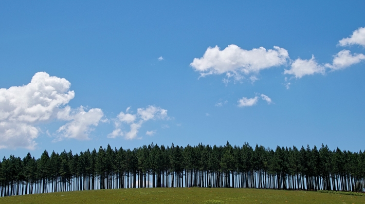 Green grass field under white and blue cloudy sky