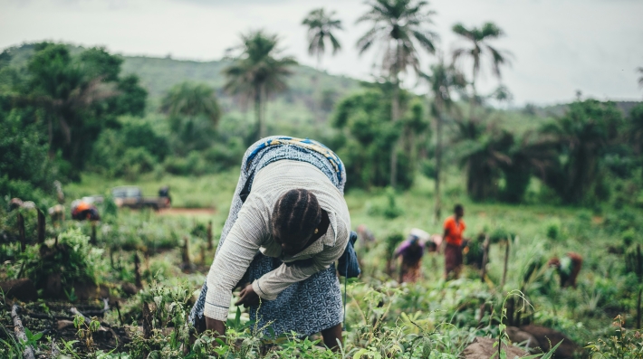 Organic farming