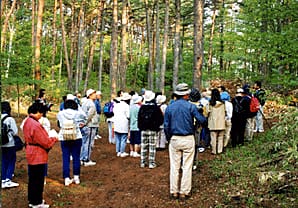 塩嶺の小鳥のさえずり