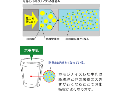 ホモジナイズ