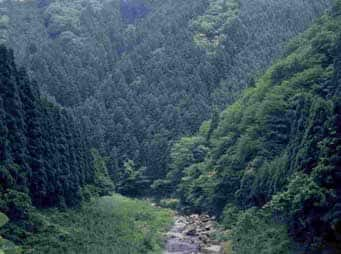 武地谷水源の森