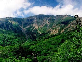 早池峰水源の森