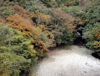 水源の森 木谷山