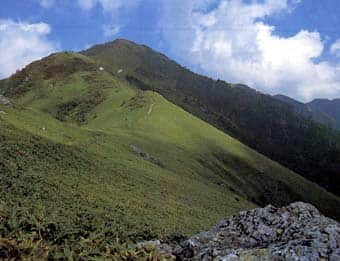 剣山水源の森