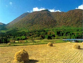 黒岳水源の森