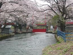 野川用水