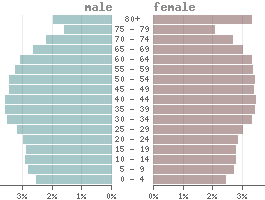 Population pyramid High-income countries 2023