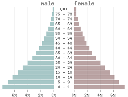 Population pyramid Low-income countries 2023