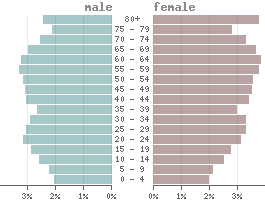 Population pyramid Puerto Rico 2023