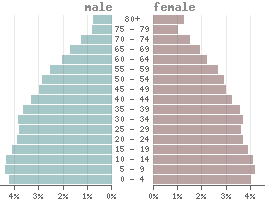 Population pyramid Total world population 2023