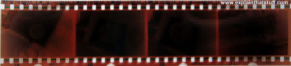 A piece of 35mm film showing four frames.