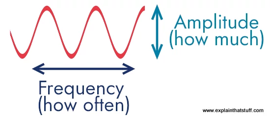 Amplitude measures how large a vibration a wave makes. Frequency measures how often it vibrates.