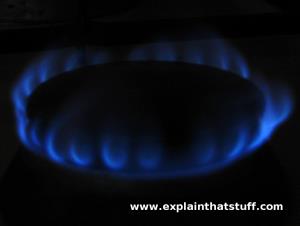 Blue flame of a natural gas cooker