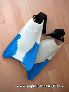 Typical blue and white bodyboarding fins.