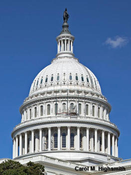 US Capitol in Washington DC by Carol M. Highsmith.