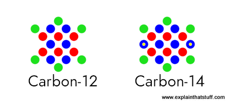 Carbon-12 and carbon-14 are isotopes: two different forms of the same atom (carbon) that differ in their numbers of neutrons.