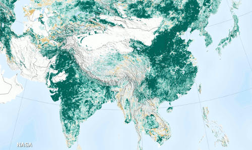 NASA Earth Observatory map showing the greening (increase in amount of Earth's land area covered by vegetation) of India and China from 2000-2017.