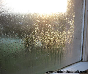 Condensation on windows and white wooden window frame