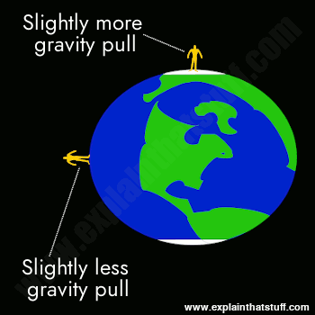 The force of gravity is slightly greater at the equator than at the poles