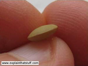 A green lentil in closeup looks curved like a convex lens