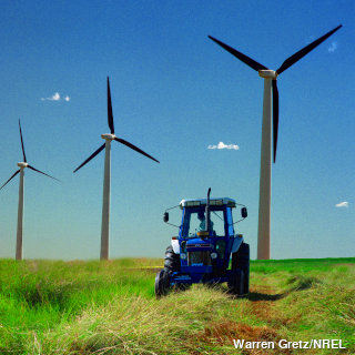 A tractor mows switchgrass in the shadow of a wind farm.
